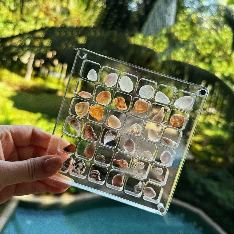 1pc Shell Storage Box Acrylic Transparent Seaside Miniature Stone Square Small Objects Display Storage Frame
