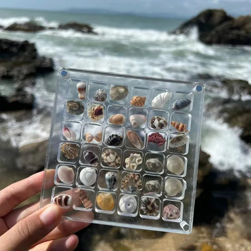 1pc Shell Storage Box Acrylic Transparent Seaside Miniature Stone Square Small Objects Display Storage Frame