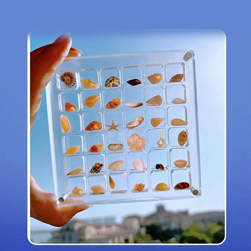 1pc Shell Storage Box Acrylic Transparent Seaside Miniature Stone Square Small Objects Display Storage Frame