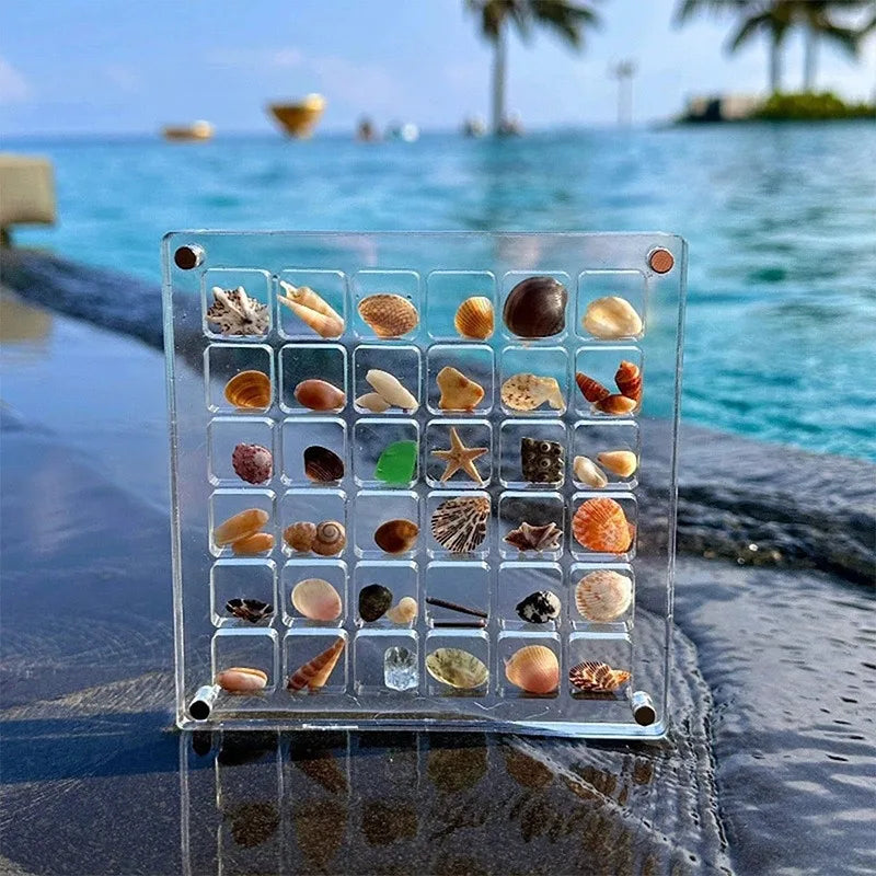 1pc Shell Storage Box Acrylic Transparent Seaside Miniature Stone Square Small Objects Display Storage Frame