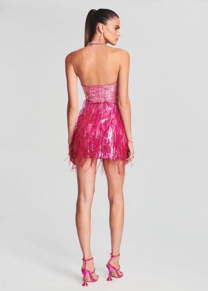 Anastasia Sequin Feather Dress